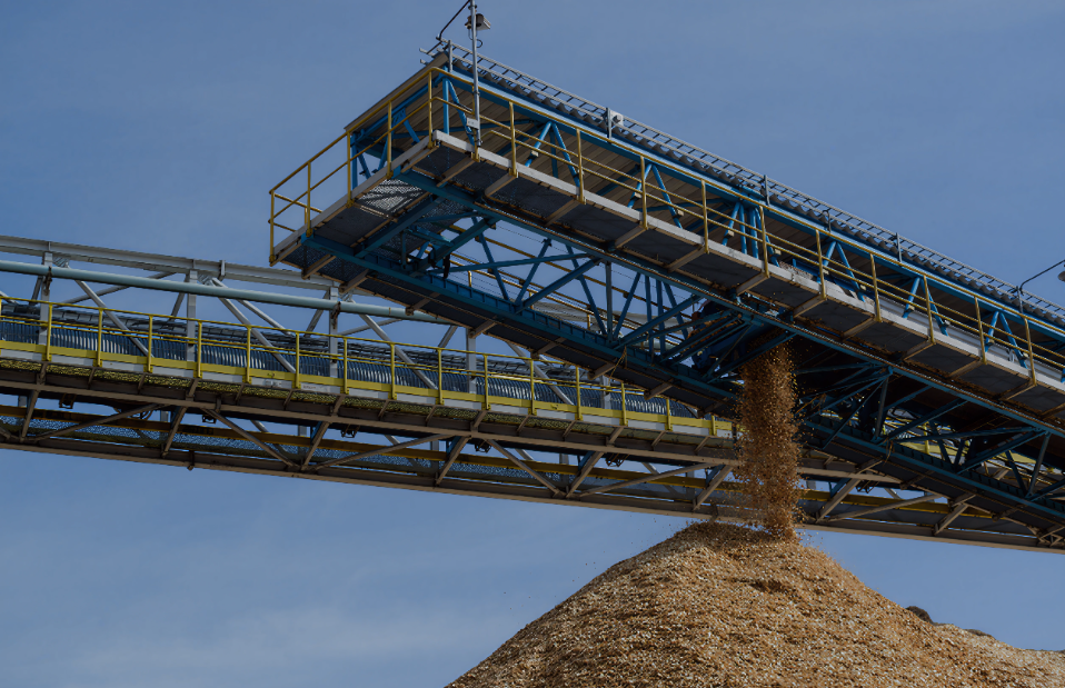 papel e celulose.png